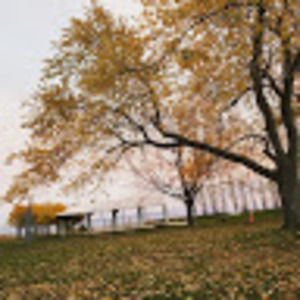 Meet your Posher, Vuyolwethu